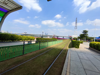 李玟腿伤住院，发文称希望你们等我回来