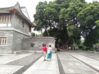 东方东河至乐东抱由城际直达专线开通