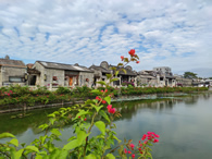 露从今夜白，今日是白露！