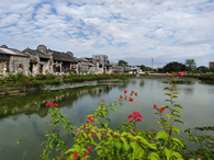 2024年1-3月福建省房地产开发和销售情
