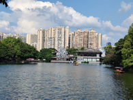 苹果市值一夜蒸发1062亿美元，约7771亿元人民币