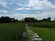 2022年文昌椰子文化旅游节活动举办时间调整
