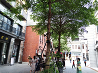 腾讯音乐9月21日在香港联合交易所主板上市