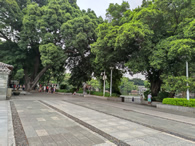 山东济南“线上寻泉”马拉松挑战赛报名开启 6月12日结束