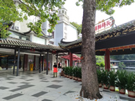 深圳宝安区博物馆系统藏品展VR全景云展览活动