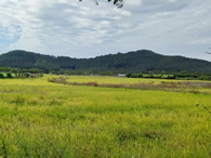 小米汽车工厂迎来常态化参观，开放厂内小米食堂体验