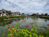 李玟腿伤住院，发文称希望你们等我回来