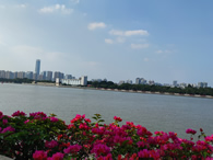 东方都市网2025新年贺词：与您携手迈进2025
